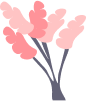 Moving Services